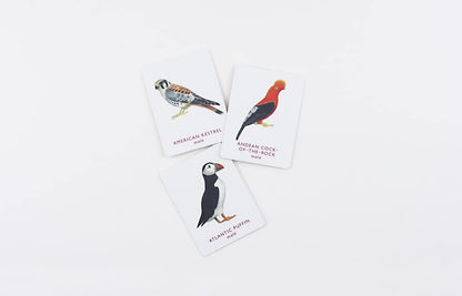 Match a Pair of Birds Memory Game by Christine Berrie