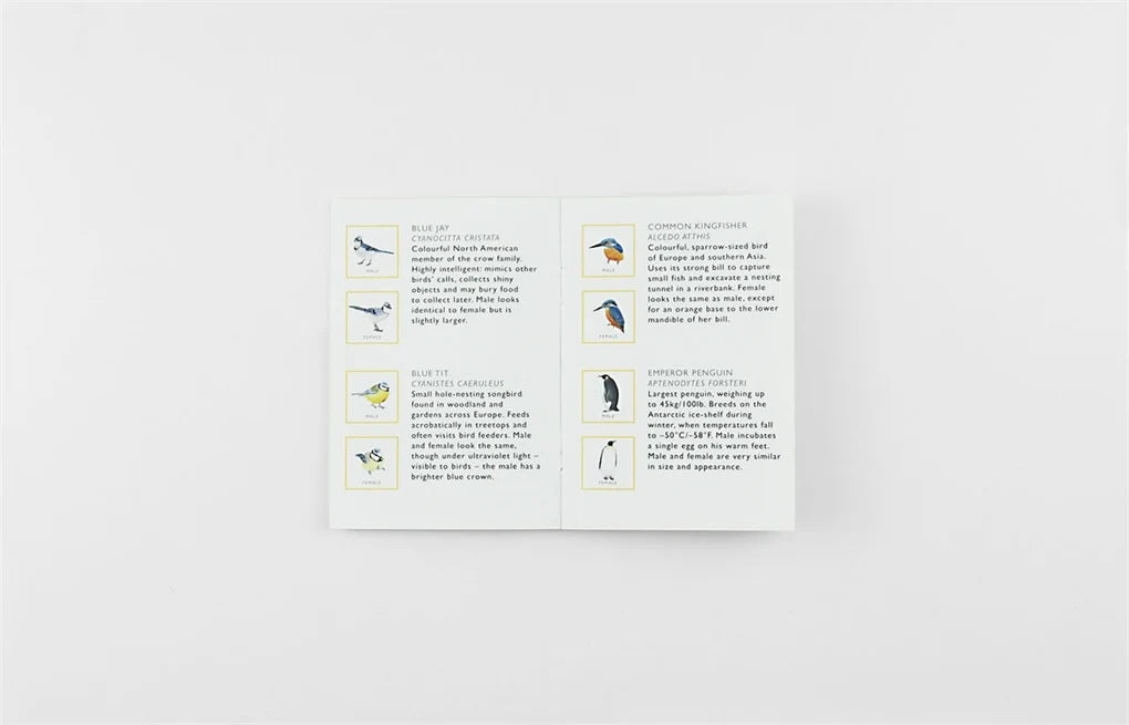 Match a Pair of Birds Memory Game by Christine Berrie