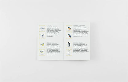 Match a Pair of Birds Memory Game by Christine Berrie