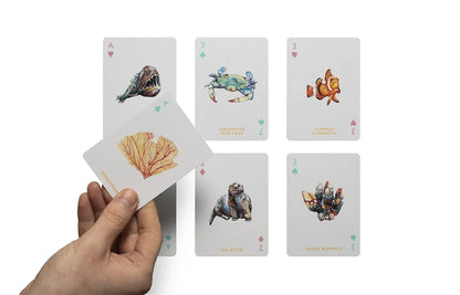 Ocean Playing Cards illustrated by Holly Exley