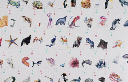 Ocean Playing Cards illustrated by Holly Exley