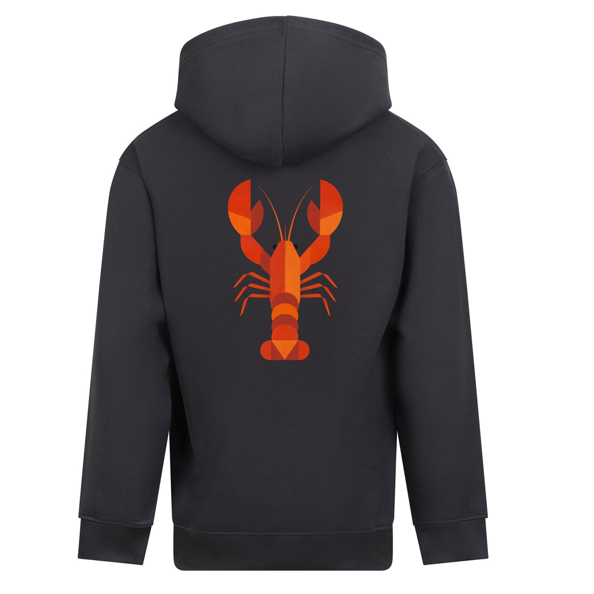Scarlet Lobster Kids' Hoodie - Prism Kingdom Solid Charcoal colour variant image