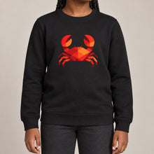Crab in Crimson Kids' Sweatshirt - Prism Kingdom lead image