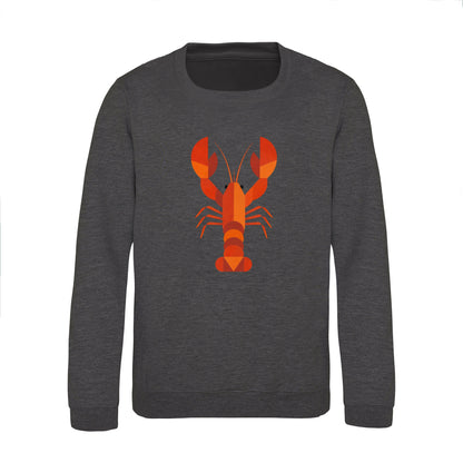 Scarlet Lobster Kids' Sweatshirt - Prism Kingdom Charcoal colour variant image