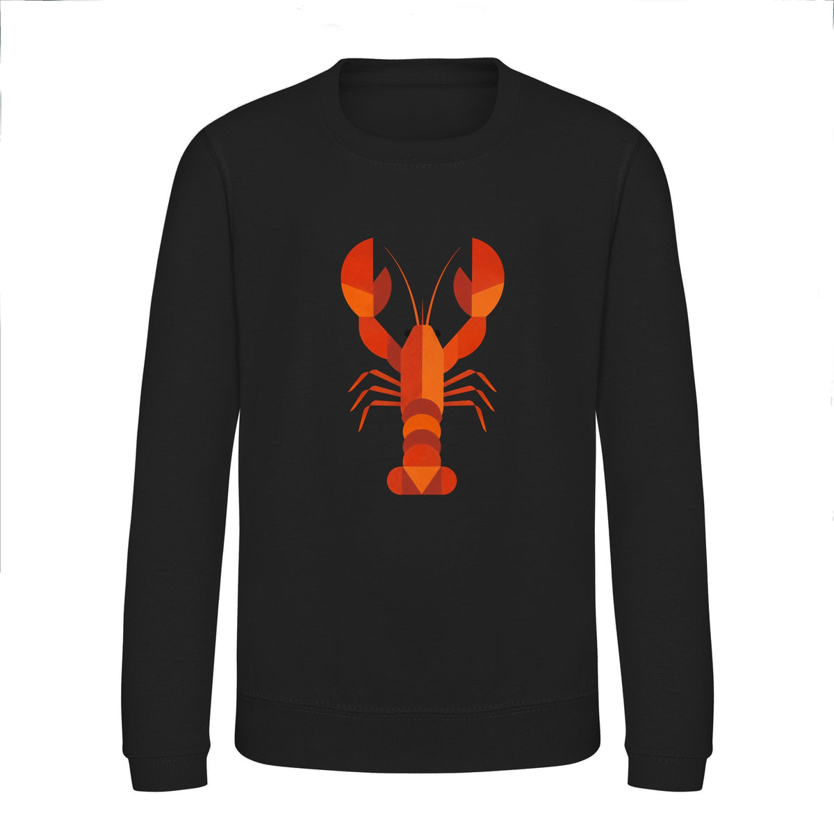 Scarlet Lobster Kids' Sweatshirt - Prism Kingdom Deep Black colour variant image