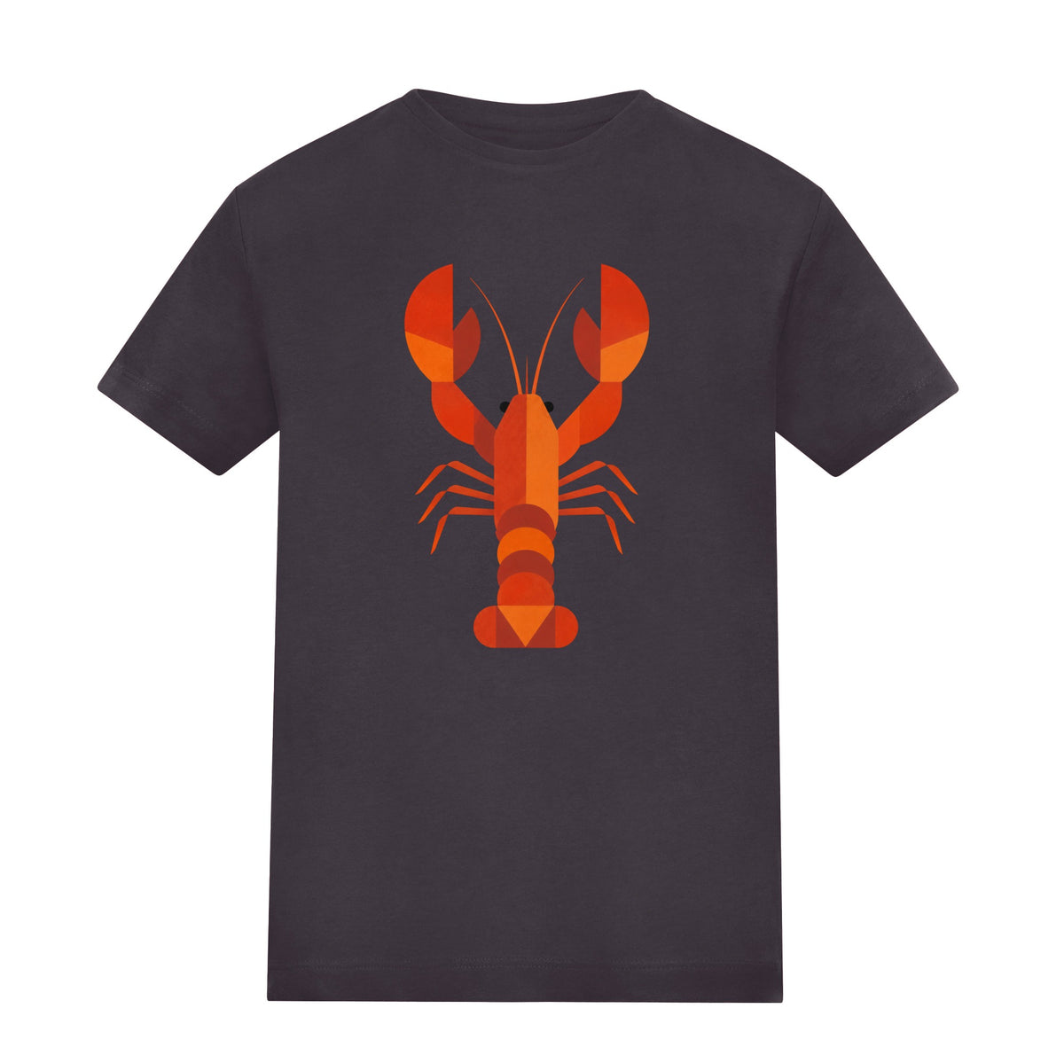 Scarlet Lobster Kids' T-shirt - Prism Kingdom Solid Charcoal colour variant image