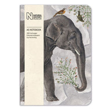 Elephant A5 Lined Notebook from Natural History Museum
