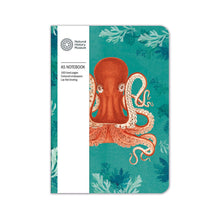 Octopus A5 Lined Notebook from Natural History Museum