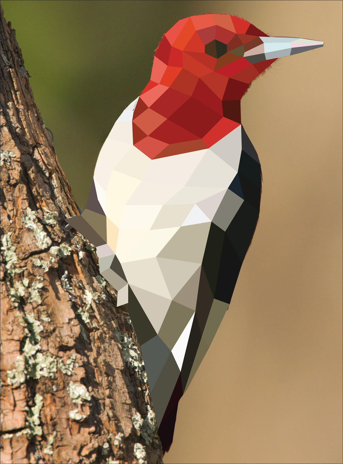 Paint by Sticker: Birds 12-Picture Sticker Activity Book