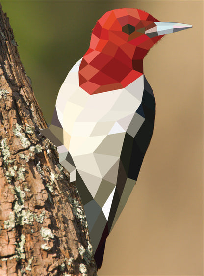 Paint by Sticker: Birds 12-Picture Sticker Activity Book