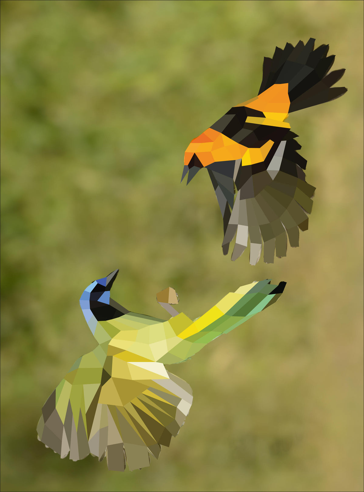 Paint by Sticker: Birds 12-Picture Sticker Activity Book