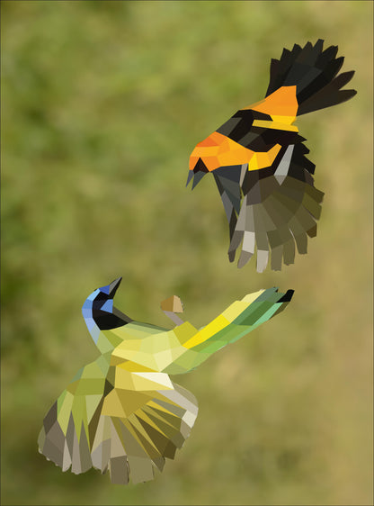 Paint by Sticker: Birds 12-Picture Sticker Activity Book