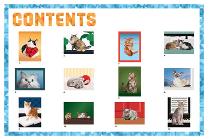 Paint by Sticker: Cats 12-Picture Sticker Activity Book