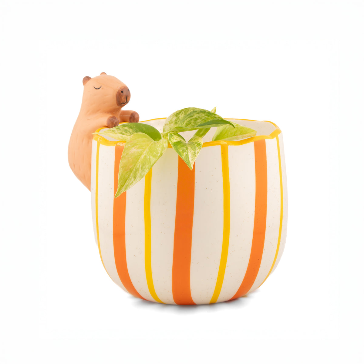 Peeking Capybara Porcelain Planter from Sass & Belle