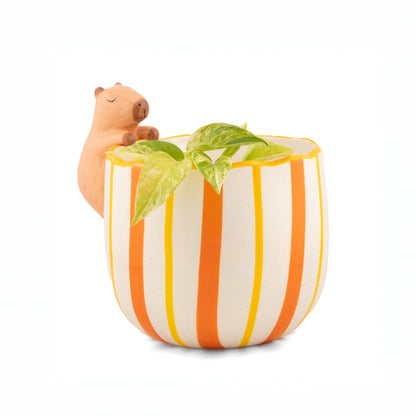 Peeking Capybara Porcelain Planter from Sass & Belle