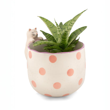 Peeking Cat Porcelain Planter from Sass & Belle