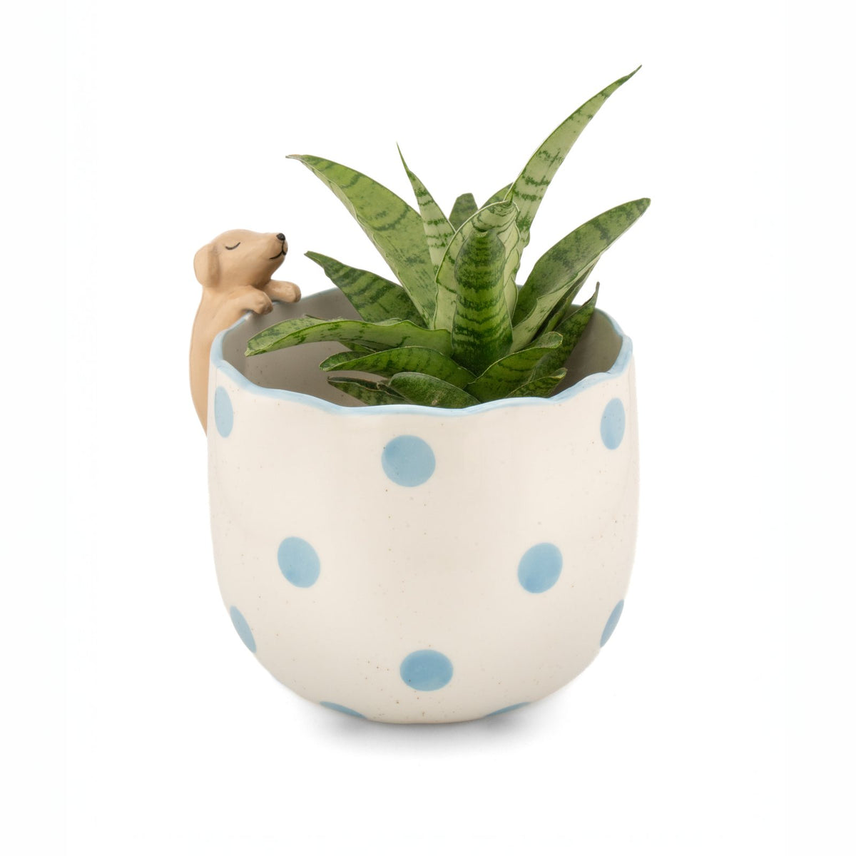 Peeking Dog Porcelain Planter from Sass & Belle