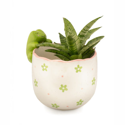 Peeking Frog Porcelain Planter from Sass & Belle