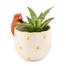 Peeking Highland Cow Porcelain Planter from Sass & Belle