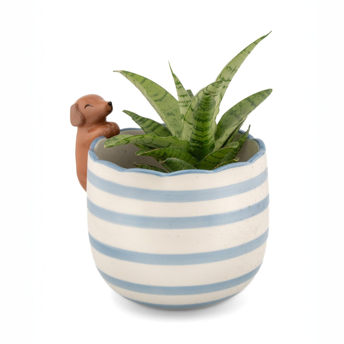 Peeking Sausage Dog Porcelain Planter from Sass & Belle