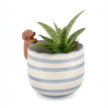 Peeking Sausage Dog Porcelain Planter from Sass & Belle