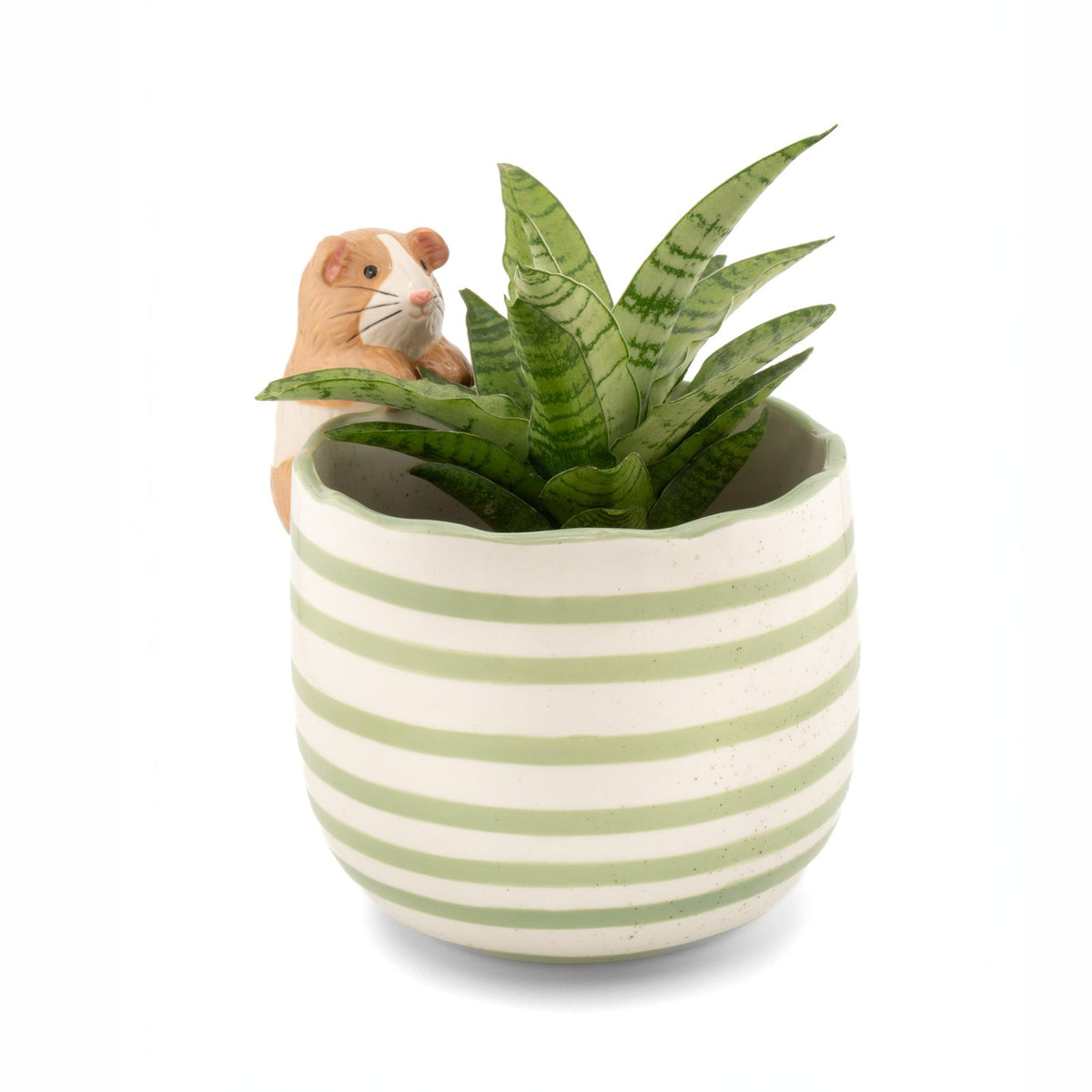 Peeking Guinea Pig Porcelain Planter from Sass & Belle