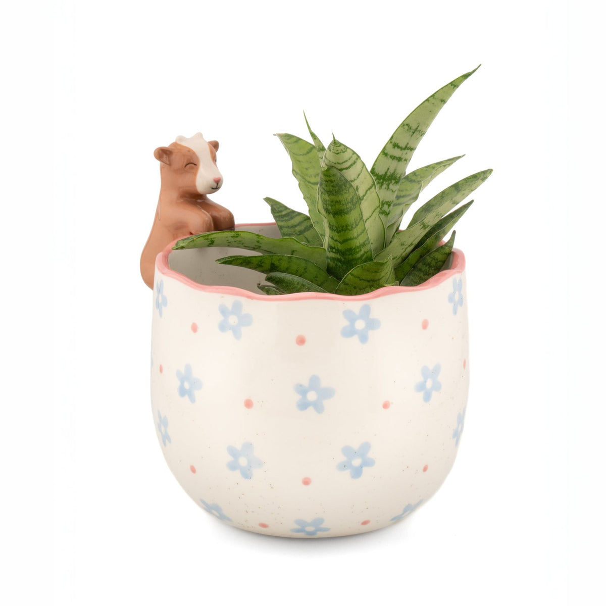 Peeking Goat Porcelain Planter from Sass & Belle