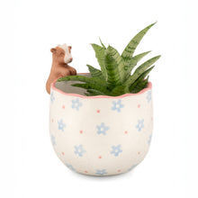Peeking Goat Porcelain Planter from Sass & Belle