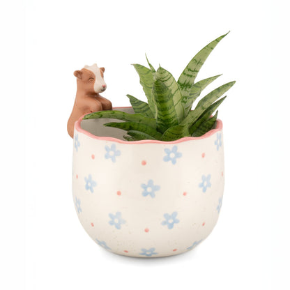Peeking Goat Porcelain Planter from Sass & Belle