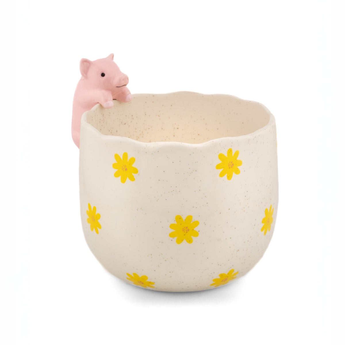 Peeking Pig Porcelain Planter from Sass & Belle