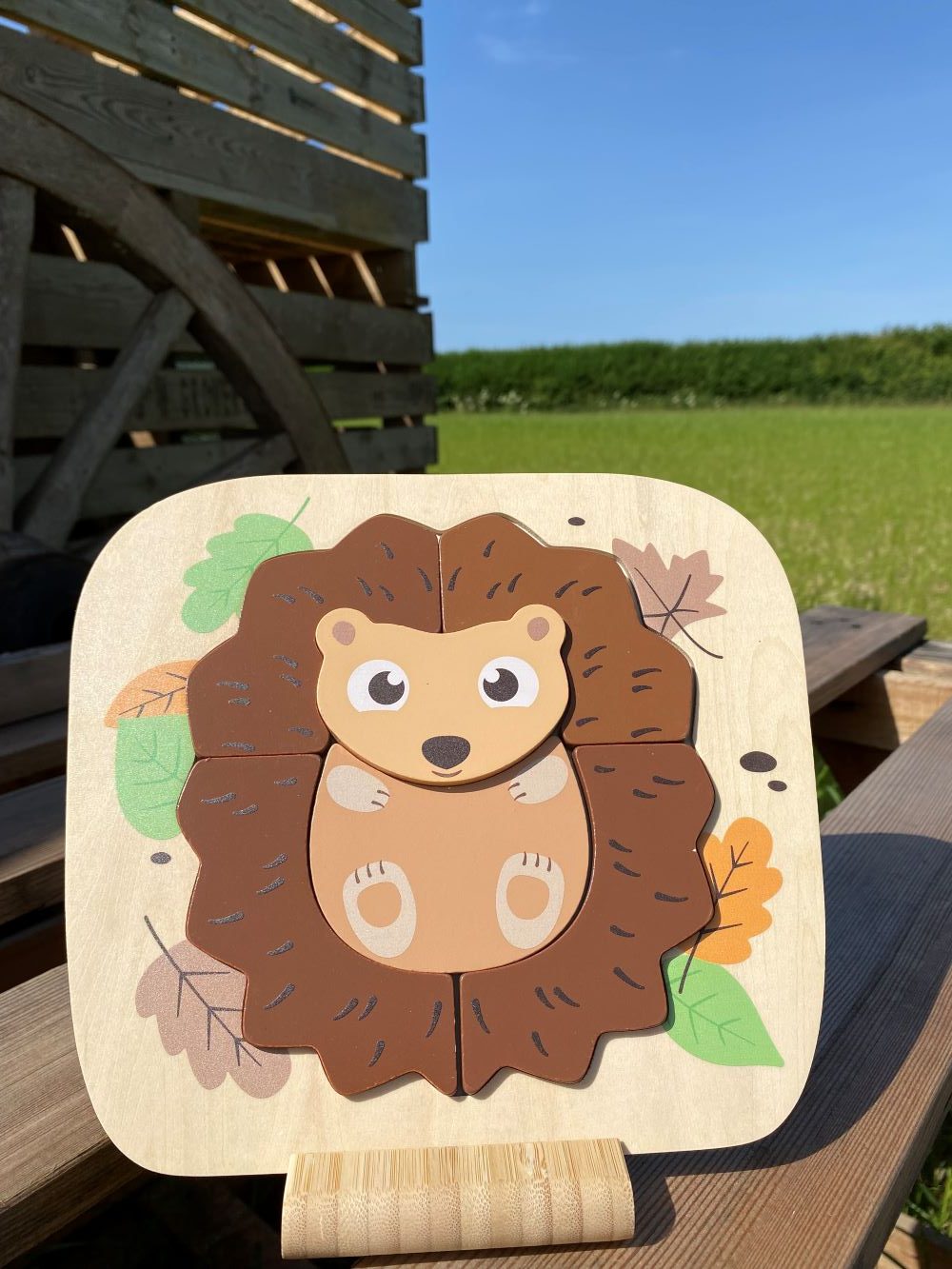 Woodland Hedgehog 6 Piece Raised Puzzle from Jumini