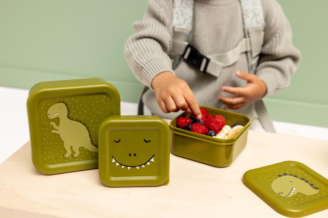Mr Dino Set of 3 Nesting Snack Boxes from Trixie