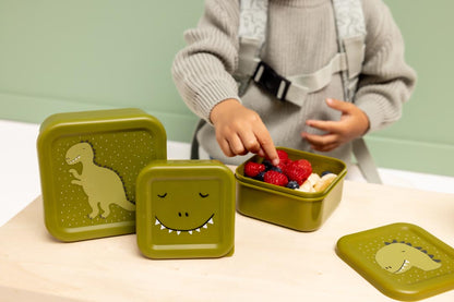 Mr Dino Set of 3 Nesting Snack Boxes from Trixie