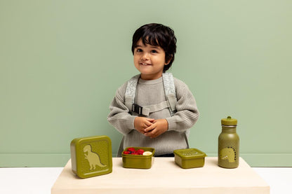 Mr Dino Set of 3 Nesting Snack Boxes from Trixie