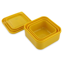 Mr Lion Set of 3 Nesting Snack Boxes from Trixie