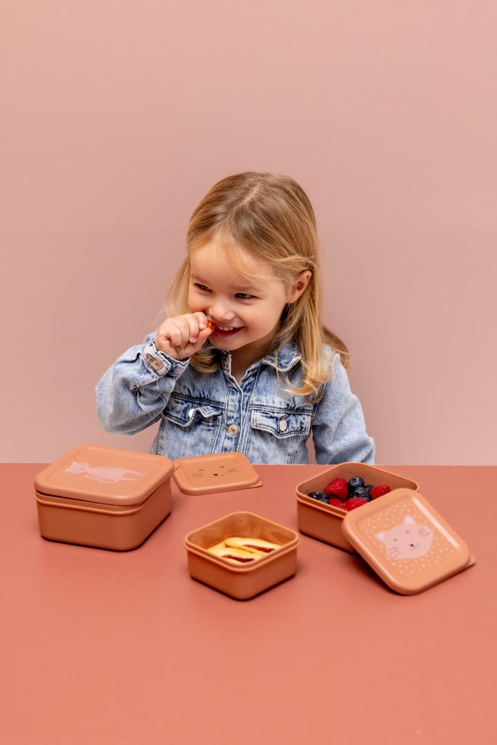 Mrs Cat Set of 3 Nesting Snack Boxes from Trixie