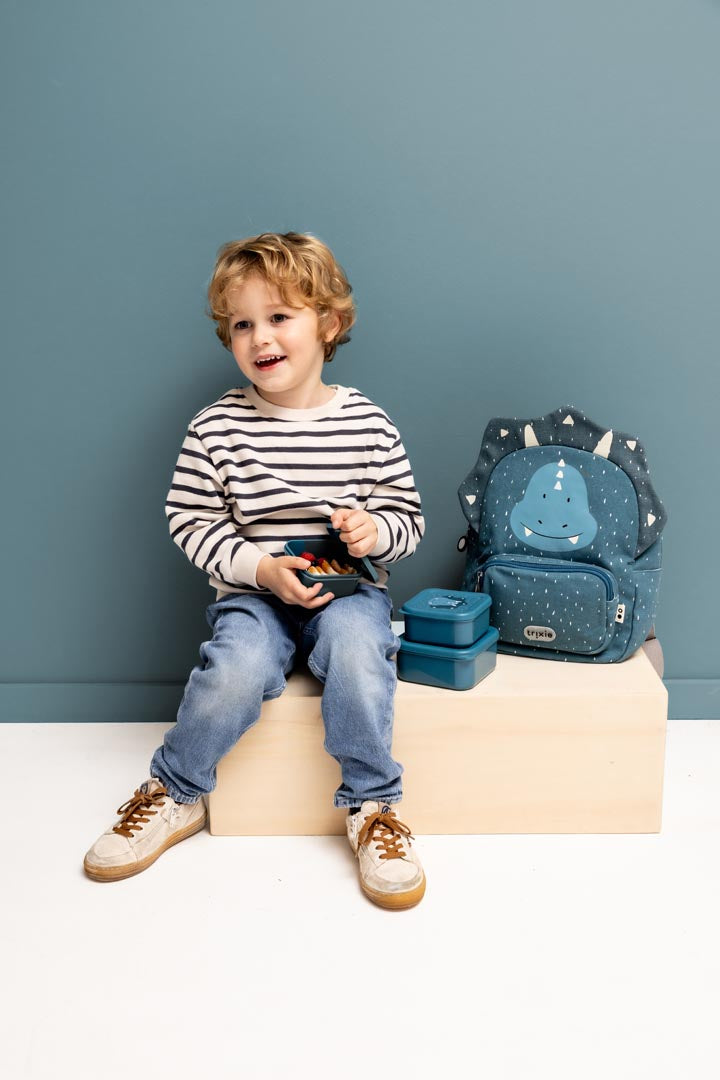Mr Triceratops Set of 3 Nesting Snack Boxes from Trixie