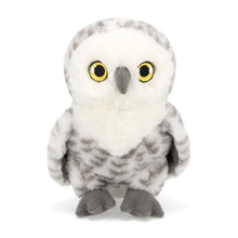 Grey Owl Soft Toy 18cm from Keeleco