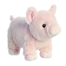 Pig Soft Toy 24cm from Eco Nation