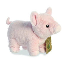 Pig Soft Toy 24cm from Eco Nation