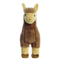 Llama Soft Toy 28cm from Eco Nation