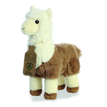 Alpaca Soft Toy 28cm from Eco Nation