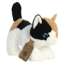Calico Cat Soft Toy 22cm from Eco Nation