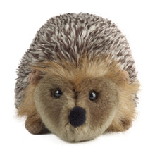 Hedgehog Soft Toy 17cm from Living Nature