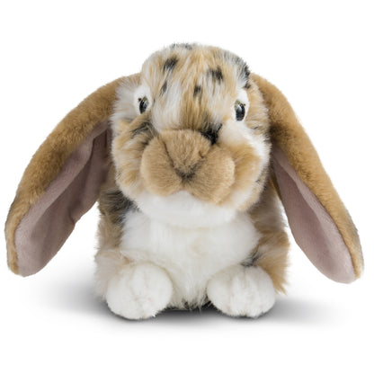 Brown Dutch Lop-Eared Rabbit Soft Toy 25cm from Living Nature