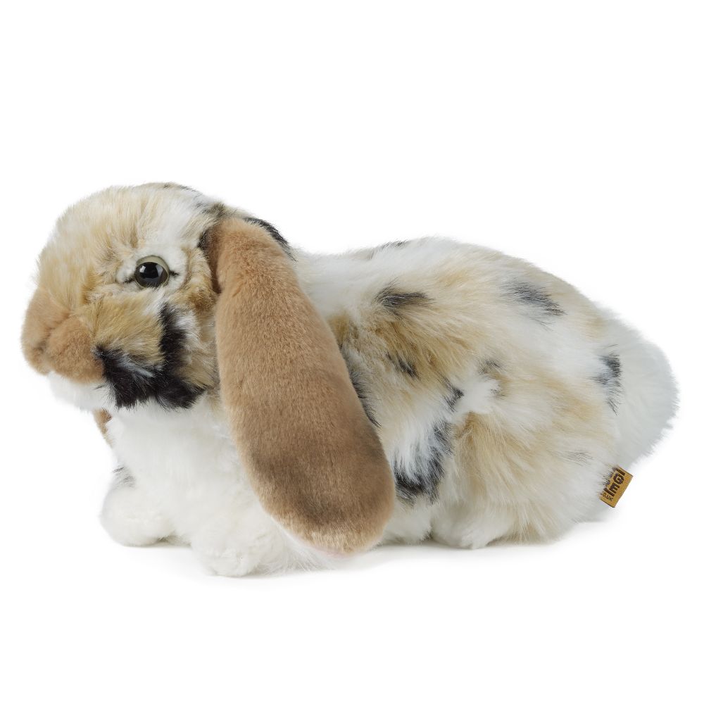 Brown Dutch Lop-Eared Rabbit Soft Toy 25cm from Living Nature