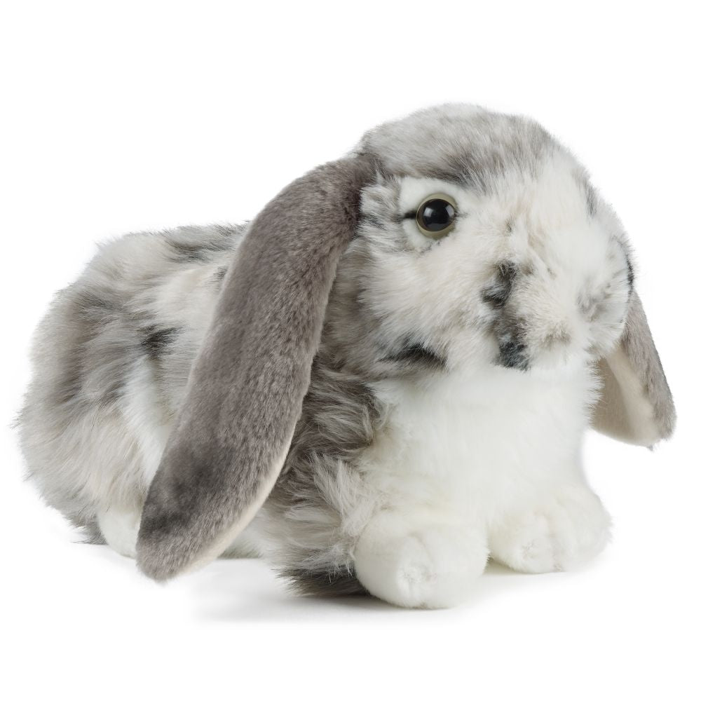 Grey Dutch Lop-Eared Rabbit Soft Toy 26cm from Living Nature
