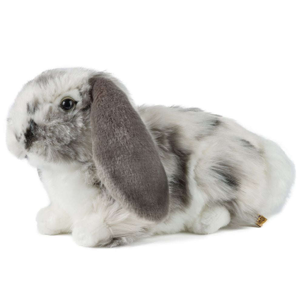 Grey Dutch Lop-Eared Rabbit Soft Toy 26cm from Living Nature