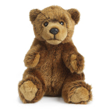 Brown Bear Soft Toy 18cm from Living Nature