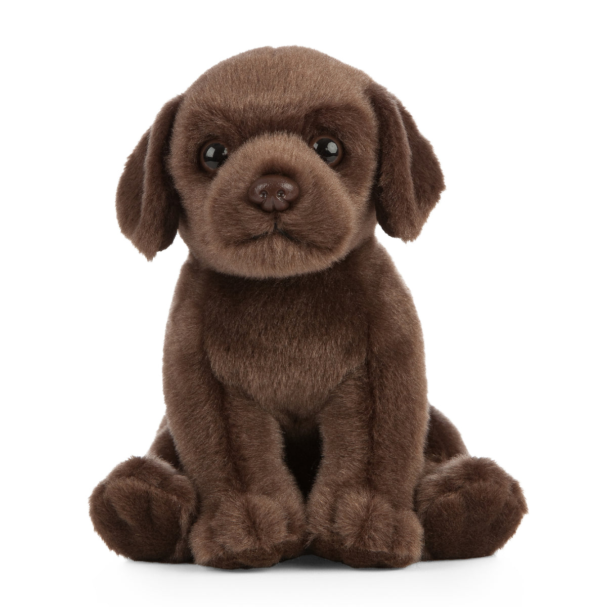 Chocolate Labrador Puppy Soft Toy 18cm from Living Nature
